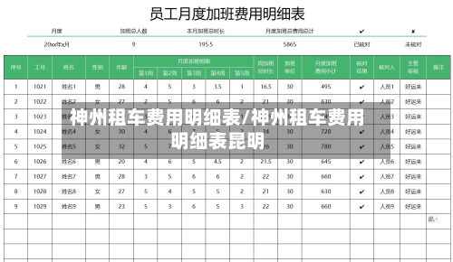 神州租车费用明细表/神州租车费用明细表昆明