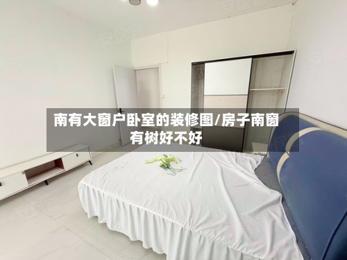 南有大窗户卧室的装修图/房子南窗有树好不好