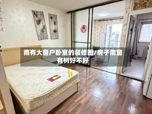 南有大窗户卧室的装修图/房子南窗有树好不好-第3张图片