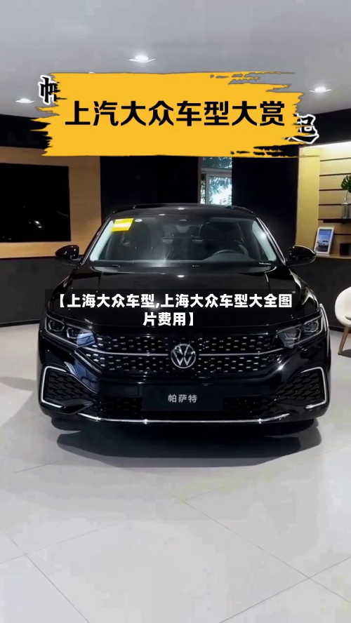 【上海大众车型,上海大众车型大全图片费用】-第3张图片