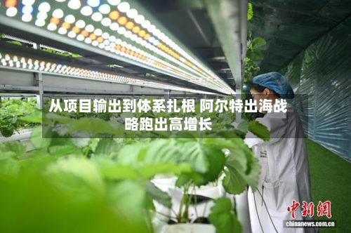 从项目输出到体系扎根 阿尔特出海战略跑出高增长-第3张图片