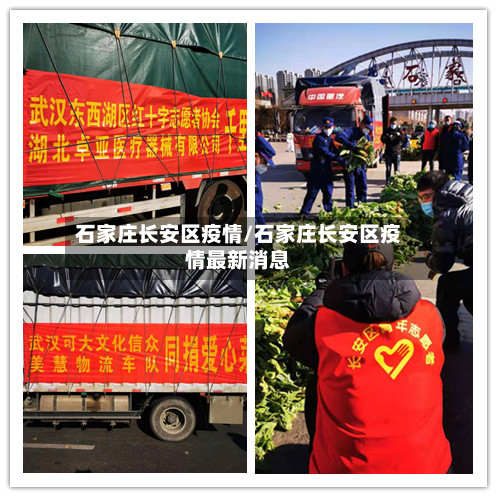 石家庄长安区疫情/石家庄长安区疫情最新消息-第3张图片