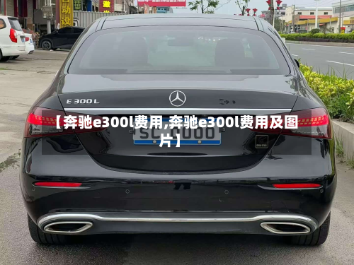 【奔驰e300l费用,奔驰e300l费用及图片】-第2张图片