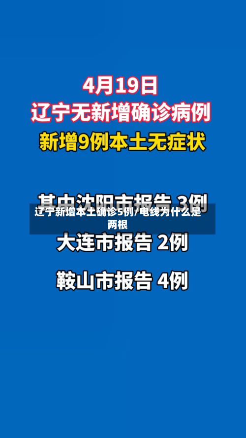 辽宁新增本土确诊5例/电线为什么是两根