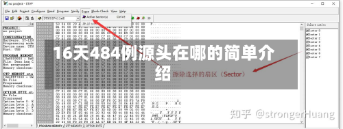 16天484例源头在哪的简单介绍-第2张图片
