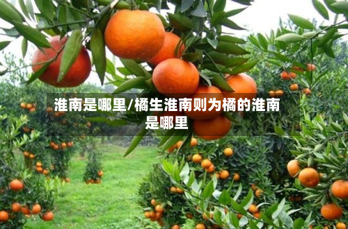 淮南是哪里/橘生淮南则为橘的淮南是哪里