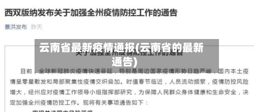 云南省最新疫情通报(云南省的最新通告)-第3张图片