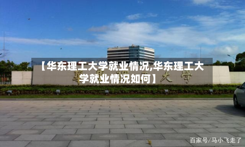 【华东理工大学就业情况,华东理工大学就业情况如何】