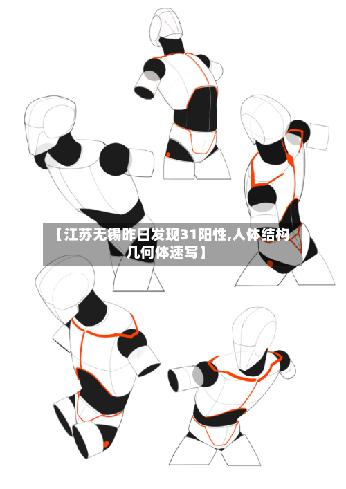 【江苏无锡昨日发现31阳性,人体结构几何体速写】-第2张图片