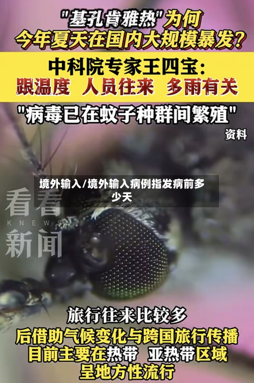 境外输入/境外输入病例指发病前多少天-第3张图片