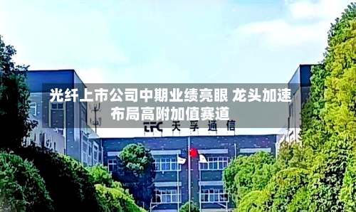 光纤上市公司中期业绩亮眼 龙头加速布局高附加值赛道-第3张图片