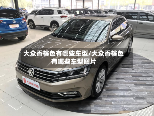 大众香槟色有哪些车型/大众香槟色有哪些车型图片-第3张图片