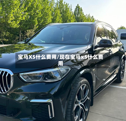 宝马X5什么费用/现在宝马x5什么费用