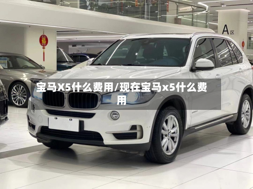 宝马X5什么费用/现在宝马x5什么费用-第2张图片
