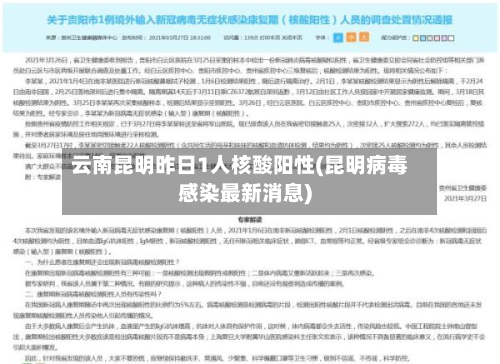 云南昆明昨日1人核酸阳性(昆明病毒感染最新消息)-第2张图片