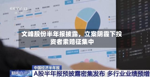 文峰股份半年报披露，立案阴霾下投资者索赔征集中-第3张图片