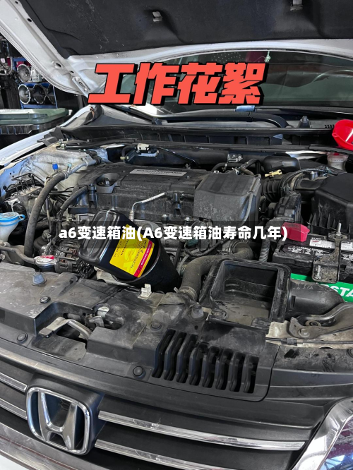 a6变速箱油(A6变速箱油寿命几年)-第2张图片