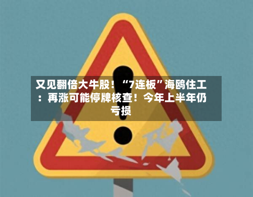 又见翻倍大牛股！“7连板”海鸥住工：再涨可能停牌核查！今年上半年仍亏损-第3张图片