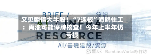 又见翻倍大牛股！“7连板	”海鸥住工：再涨可能停牌核查！今年上半年仍亏损-第2张图片