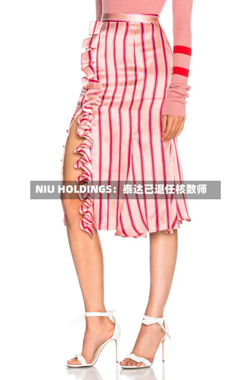 NIU HOLDINGS：泰达已退任核数师-第2张图片