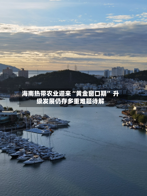 海南热带农业迎来“黄金窗口期” 升级发展仍存多重难题待解-第2张图片