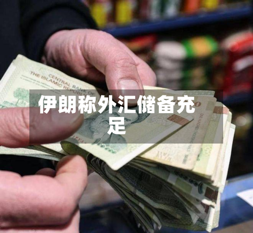 伊朗称外汇储备充足