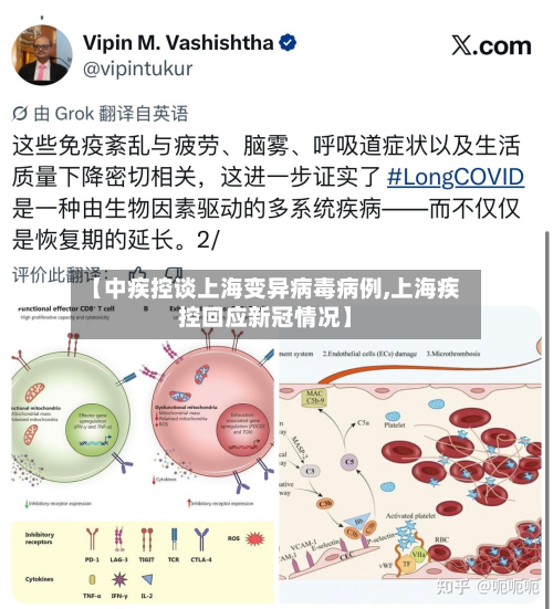 【中疾控谈上海变异病毒病例,上海疾控回应新冠情况】