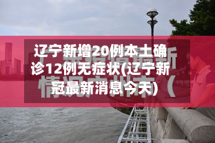 辽宁新增20例本土确诊12例无症状(辽宁新冠最新消息今天)-第3张图片