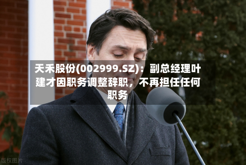 天禾股份(002999.SZ)：副总经理叶建才因职务调整辞职	，不再担任任何职务-第1张图片