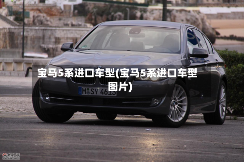 宝马5系进口车型(宝马5系进口车型图片)