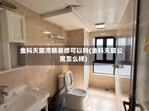 金科天宸湾精装修可以吗(金科天宸公寓怎么样)-第3张图片