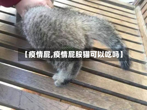【疫情屁,疫情屁股猫可以吃吗】