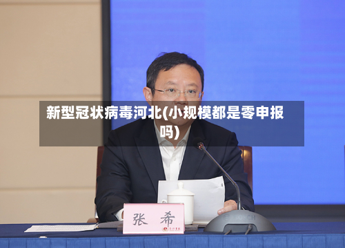 新型冠状病毒河北(小规模都是零申报吗)