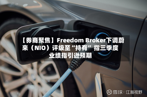 【券商聚焦】Freedom Broker下调蔚来（NIO）评级至“持有	” 指三季度业绩指引逊预期-第3张图片