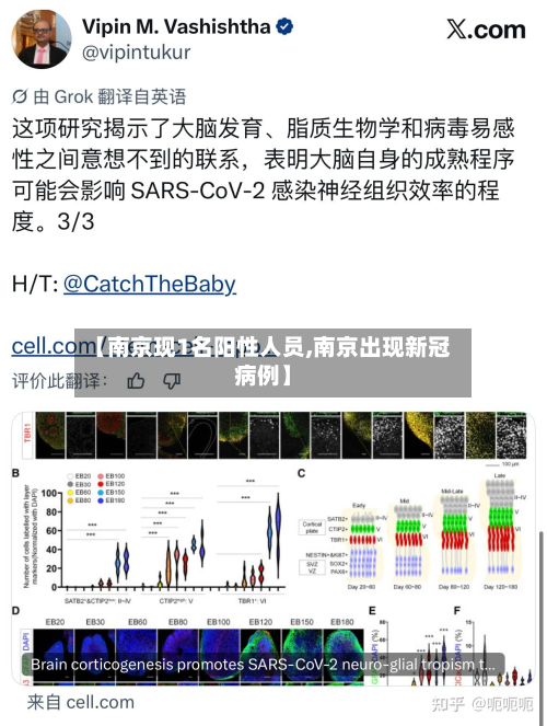 【南京现1名阳性人员,南京出现新冠病例】