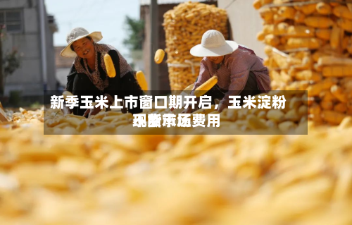 新季玉米上市窗口期开启	，玉米淀粉现货市场费用不断承压-第1张图片