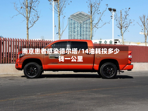 南京患者感染德尔塔/14油耗投多少钱一公里-第3张图片