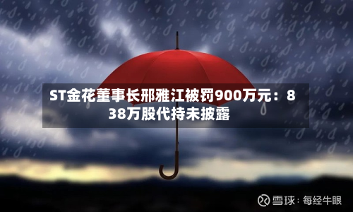 ST金花董事长邢雅江被罚900万元：838万股代持未披露-第2张图片