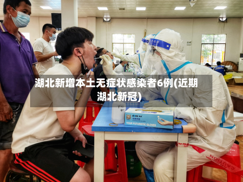 湖北新增本土无症状感染者6例(近期湖北新冠)-第3张图片