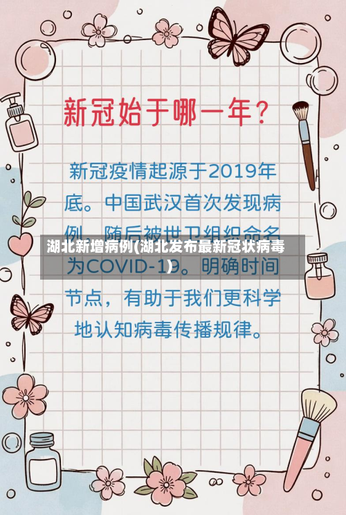 湖北新增病例(湖北发布最新冠状病毒)-第2张图片