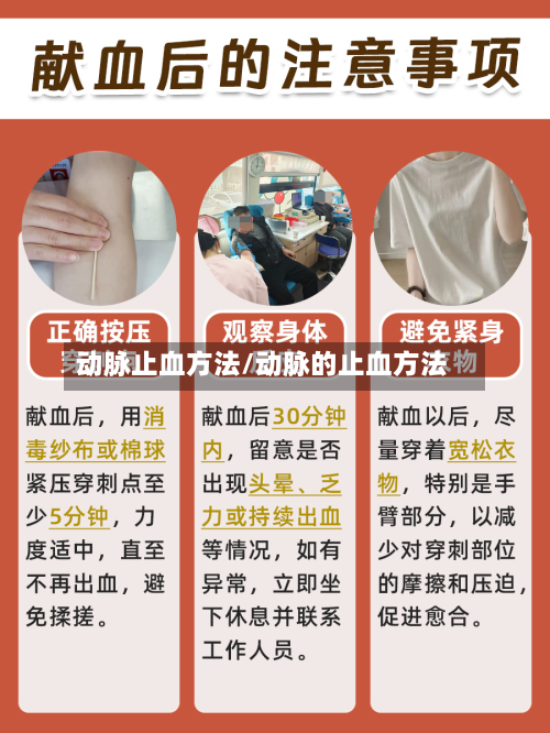 动脉止血方法/动脉的止血方法-第3张图片