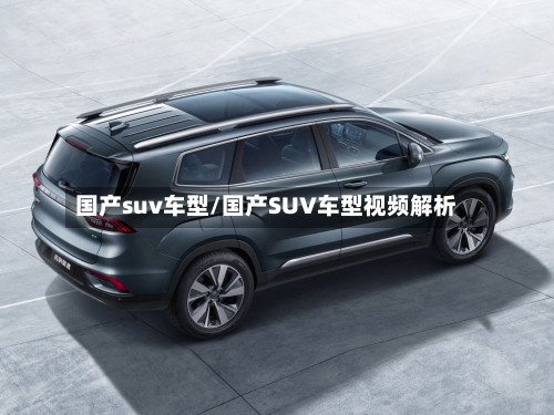 国产suv车型/国产SUV车型视频解析-第3张图片