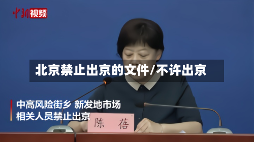 北京禁止出京的文件/不许出京