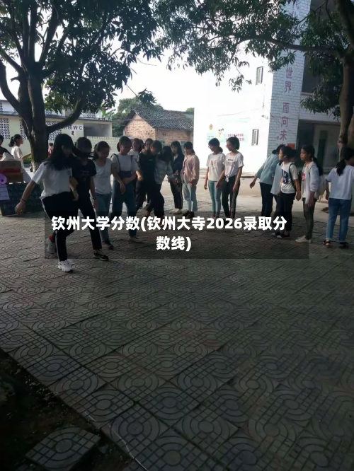 钦州大学分数(钦州大寺2026录取分数线)