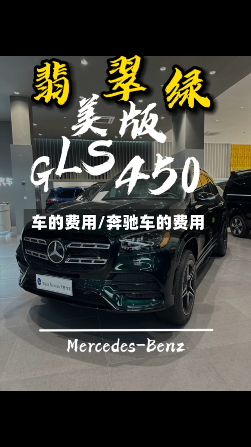 车的费用/奔驰车的费用