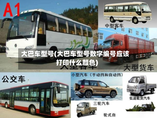 大巴车型号(大巴车型号数字编号应该打印什么颜色)-第2张图片