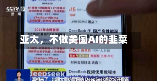 亚太，不做美国AI的韭菜-第2张图片