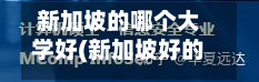 新加坡的哪个大学好(新加坡好的大学有哪几所)-第2张图片