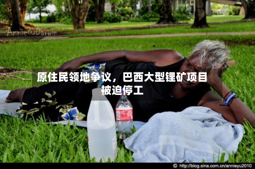 原住民领地争议	，巴西大型锂矿项目被迫停工-第2张图片