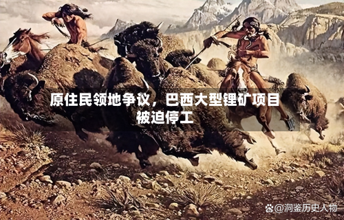 原住民领地争议，巴西大型锂矿项目被迫停工